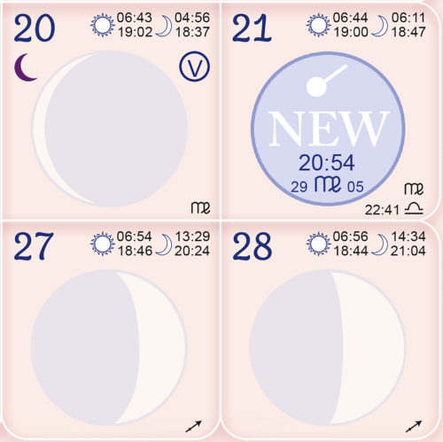 Seasons & Cycles Moon Calendar 2025