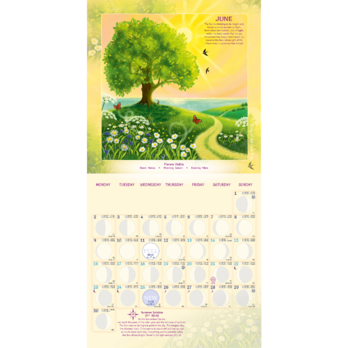 Seasons & Cycles Moon Calendar 2025