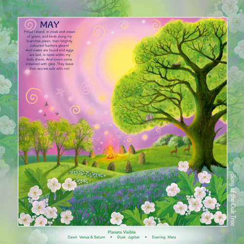 Seasons & Cycles Moon Calendar 2025