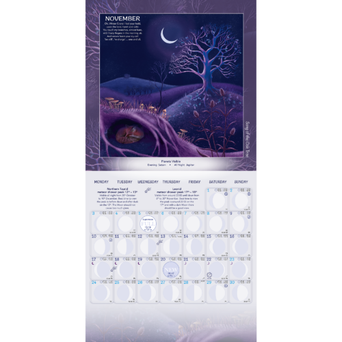 Seasons & Cycles Moon Calendar 2025